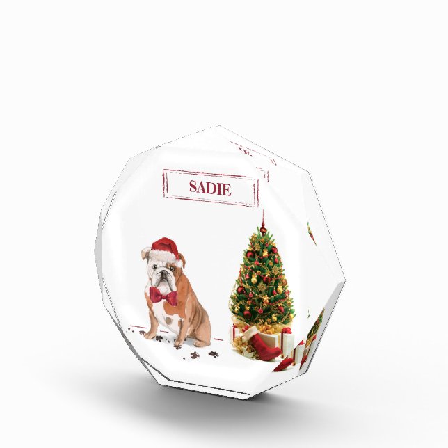 English Bulldog Funny Christmas Dog mit Baum Fotoblock (Rechts)