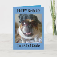 English Bulldog Geburtstagskarte, Cooler Typ