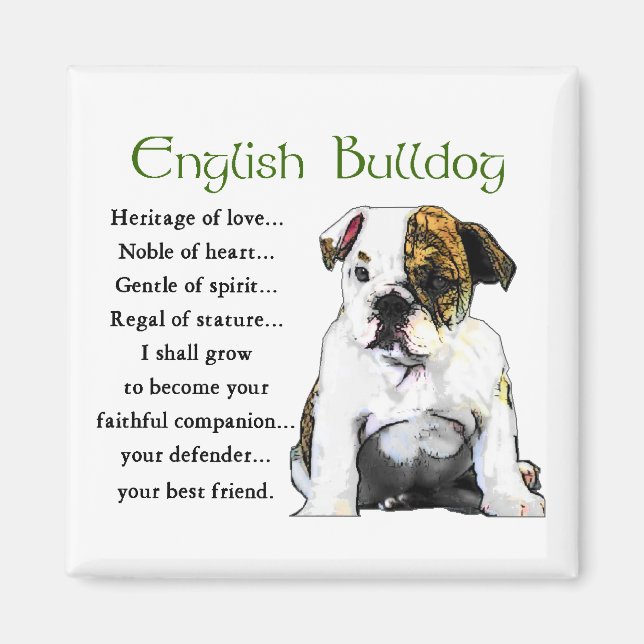 English Bulldog Geschenke Magnet (Vorne)