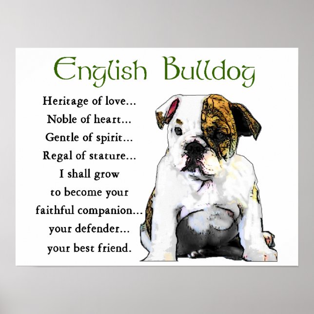 English Bulldog Geschenke Poster (Vorne)