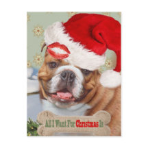English Bulldog Kisses für Weihnachten
