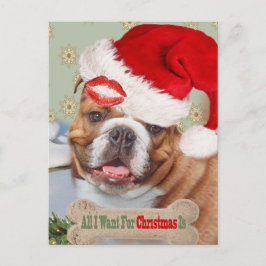 English Bulldog Kisses für Weihnachten