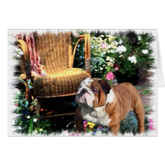 English Bulldog Kunstgeschenke