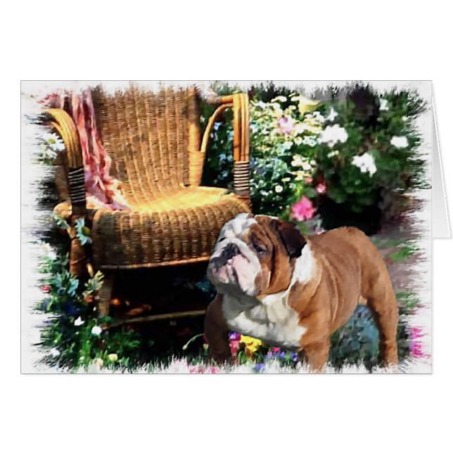English Bulldog Kunstgeschenke (Vorderseite (Horizontal))
