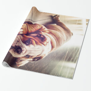 English Bulldog Lying Dog Hundebahn Foto Geschenkpapier