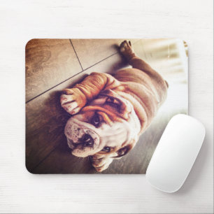English Bulldog Lying Dog Hundebahn Foto Mousepad