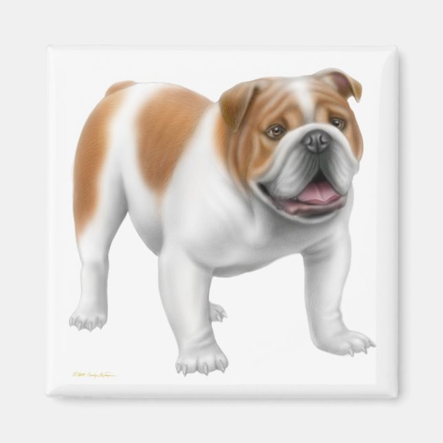 English Bulldog Magnet (Vorne)