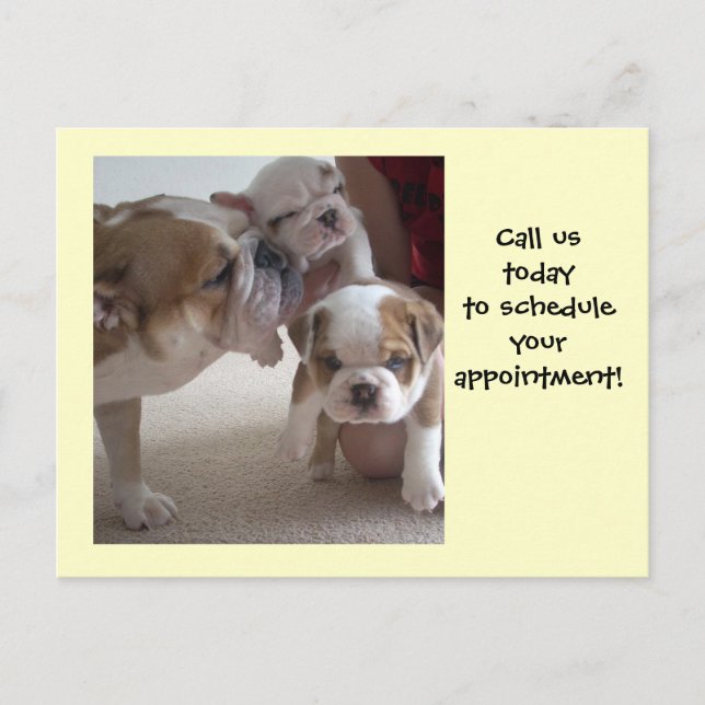 English Bulldog Mama & Pups Postkarten Schuss Erin (Vorderseite)