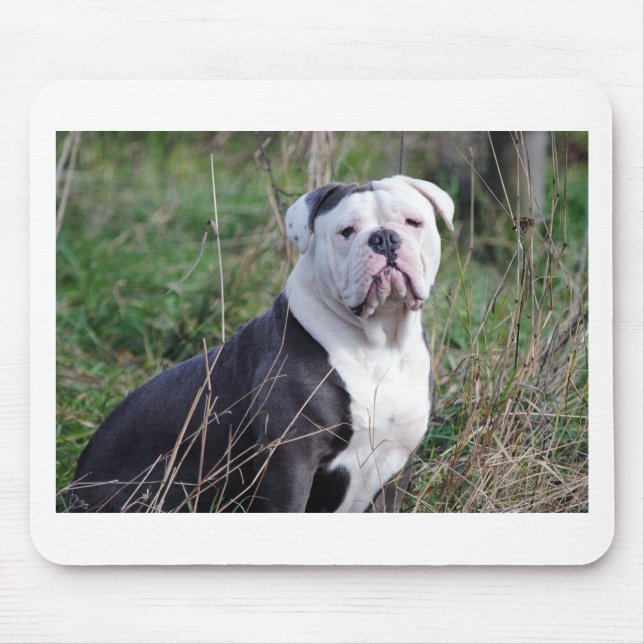 English Bulldog Mousepad (Vorne)