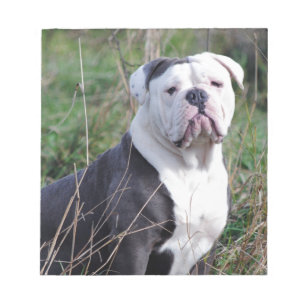 English Bulldog Notizblock