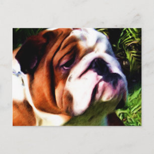 English Bulldog Postcard Postkarte