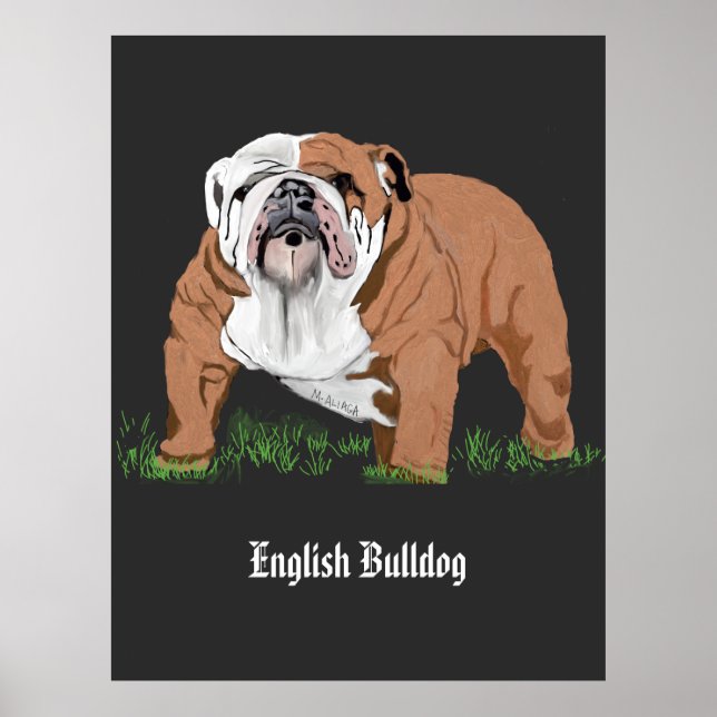 English Bulldog Poster (Vorne)