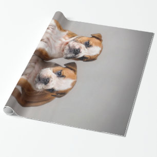English Bulldog Puppies Couple Niedlich Bulldog Geschenkpapier