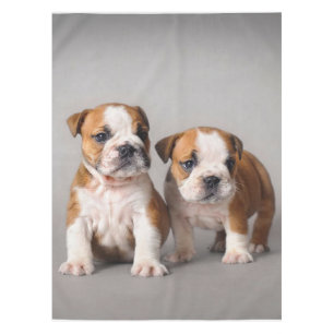 English Bulldog Puppies   Couple Niedlich Bulldog Tischdecke