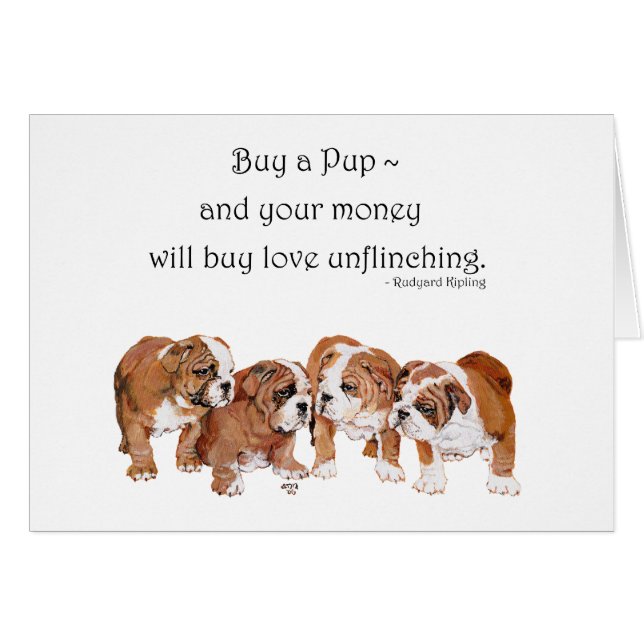 English Bulldog Puppy (Vorderseite (Horizontal))