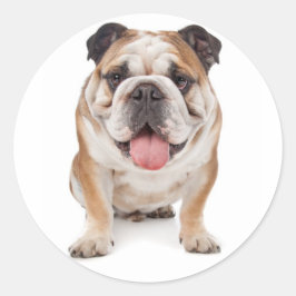 English Bulldog Puppy Docker / Siegel Runder Aufkleber