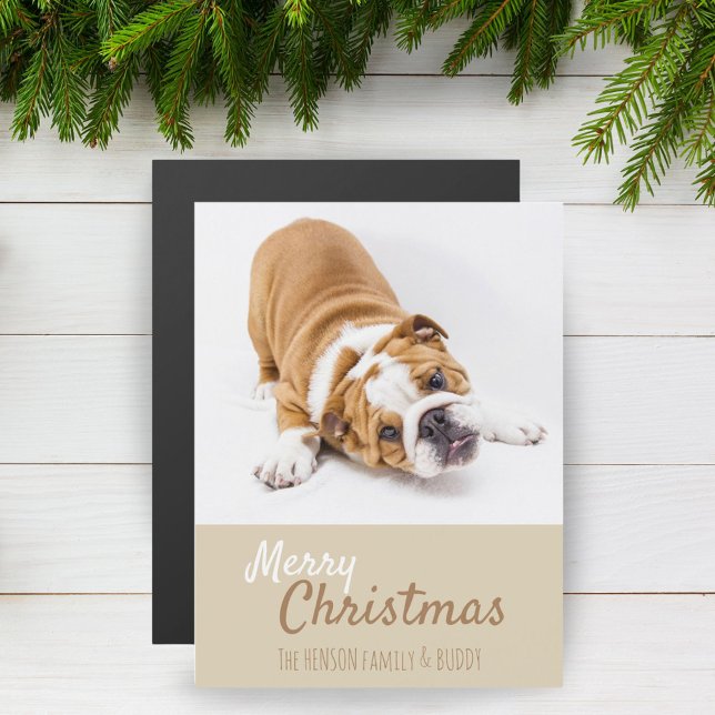 English Bulldog Puppy Foto Christmas Magnet Card (Von Creator hochgeladen)