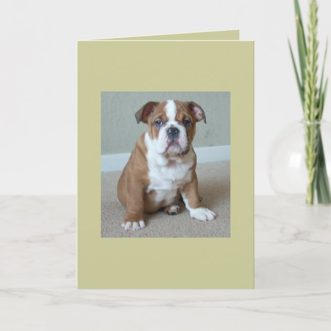 English Bulldog Puppy Karte (Vorderseite)