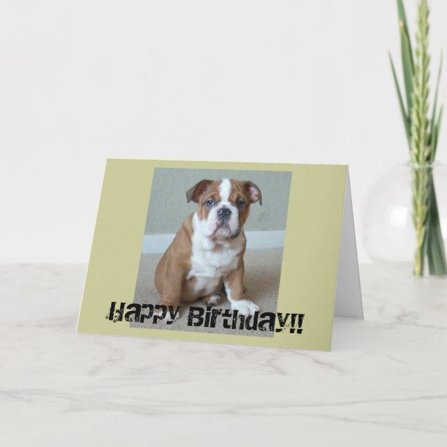 English Bulldog Puppy Karte (Vorderseite)