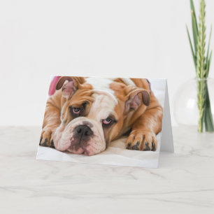 English bulldog puppy karte