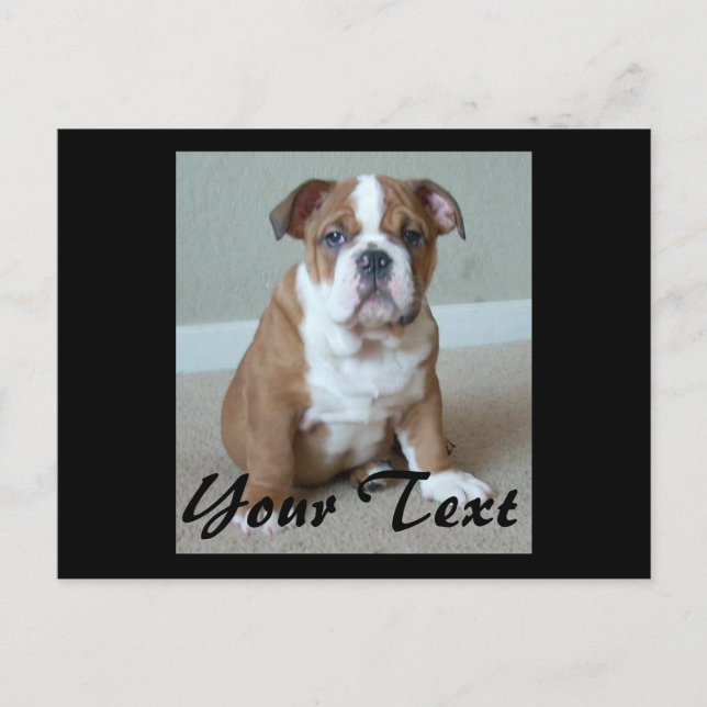 English Bulldog Puppy Postkarte (Vorderseite)