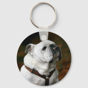English Bulldog Schlüsselanhänger