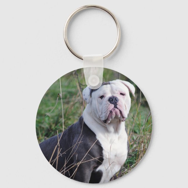 English Bulldog Schlüsselanhänger (Vorderseite)