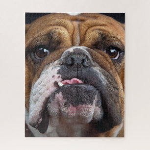 English Bulldog Throw Kissen