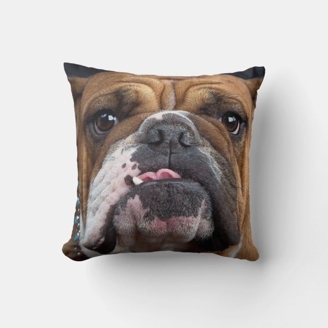 English Bulldog Throw Kissen (Vorderseite)