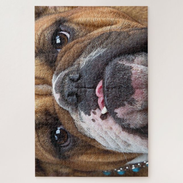 English Bulldog Throw Kissen (Vertikal)
