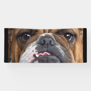 English Bulldog Throw Kissen Banner