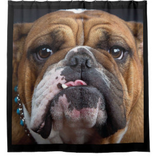 English Bulldog Throw Kissen Duschvorhang
