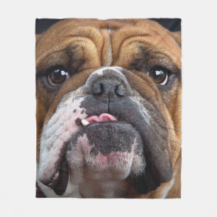 English Bulldog Throw Kissen Fleecedecke