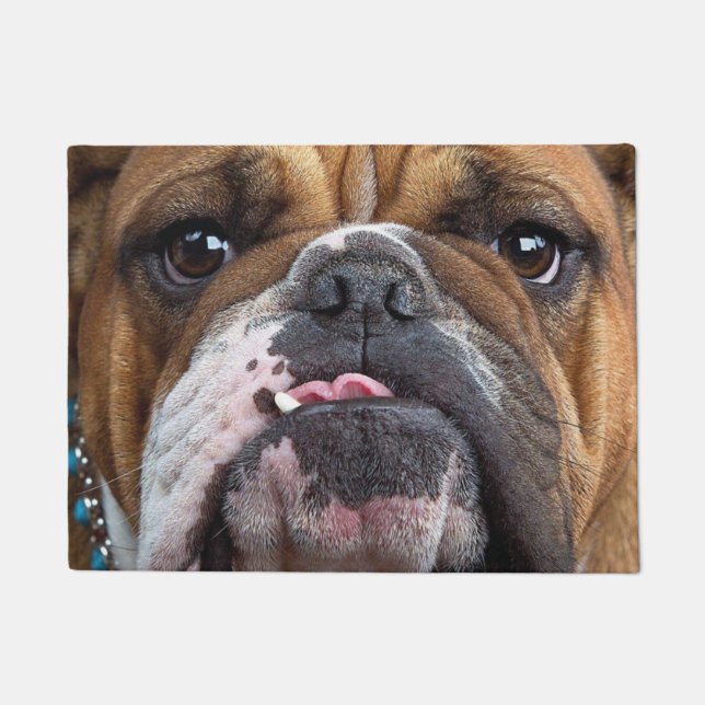 English Bulldog Throw Kissen Fußmatte (Vorderseite)