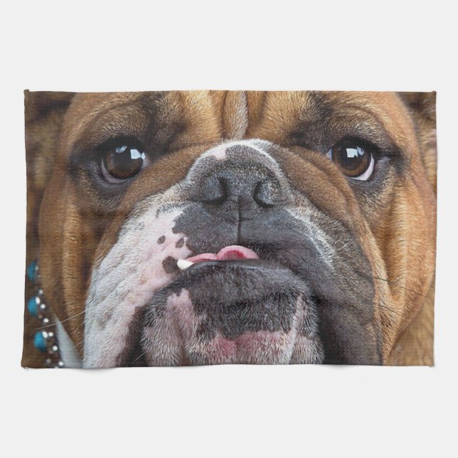 English Bulldog Throw Kissen Geschirrtuch (Horizontal)