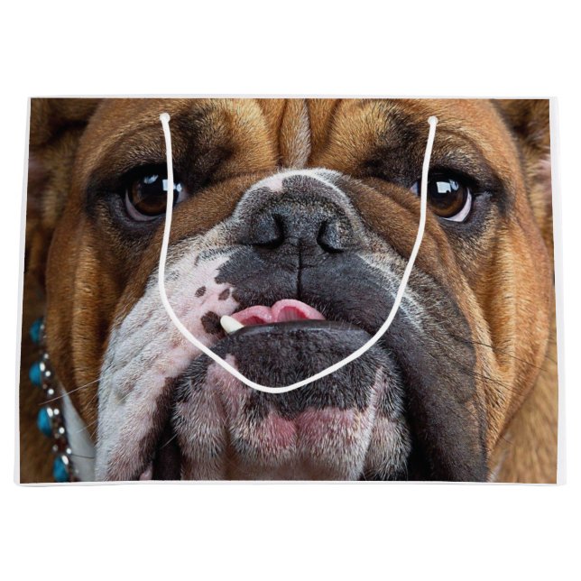 English Bulldog Throw Kissen Große Geschenktüte (Vorderseite)
