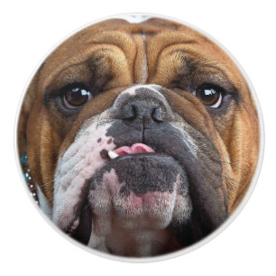 English Bulldog Throw Kissen Keramikknauf