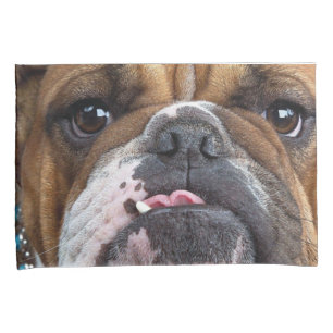 English Bulldog Throw Kissen Kissenbezug