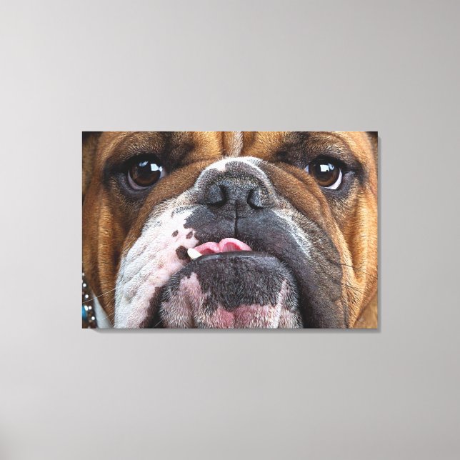 English Bulldog Throw Kissen Leinwanddruck (Vorderseite)