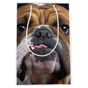 English Bulldog Throw Kissen Mittlere Geschenktüte