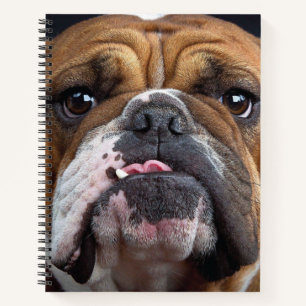 English Bulldog Throw Kissen Notizbuch