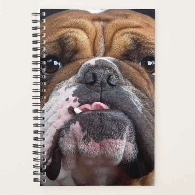 English Bulldog Throw Kissen Planer (Vorderseite)
