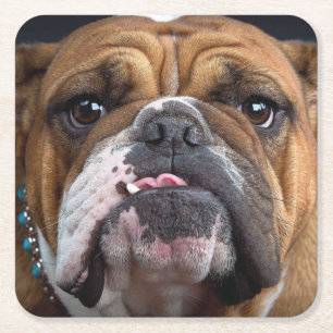 English Bulldog Throw Kissen Rechteckiger Pappuntersetzer