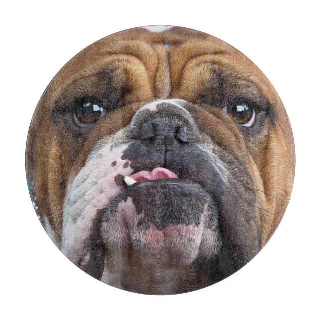 English Bulldog Throw Kissen Schneidebrett (Vorderseite)