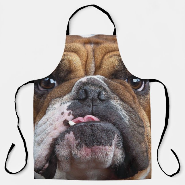 English Bulldog Throw Kissen Schürze (Vorderseite)