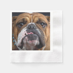 English Bulldog Throw Kissen Serviette
