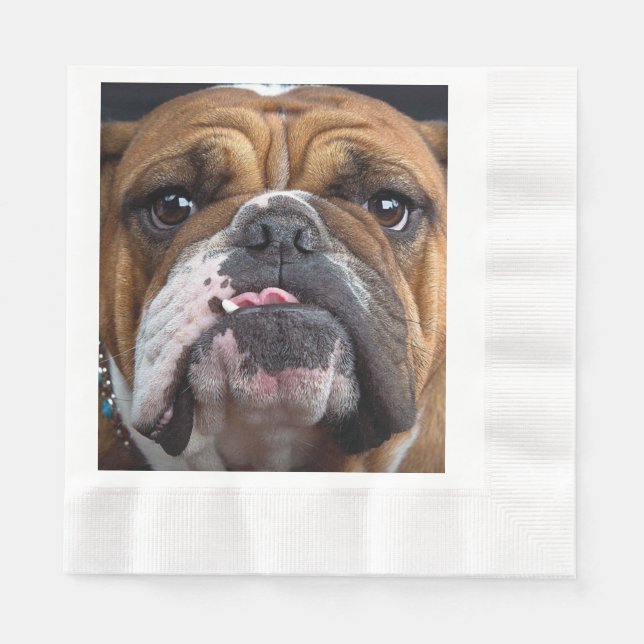 English Bulldog Throw Kissen Serviette (Vorderseite)