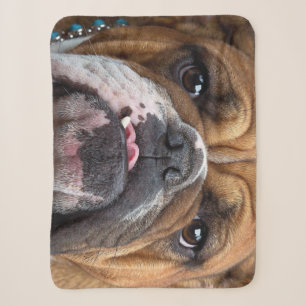 English Bulldog Throw Kissen Sherpadecke