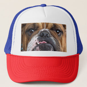 English Bulldog Throw Kissen Truckerkappe