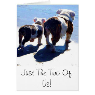 English Bulldog und Puppy